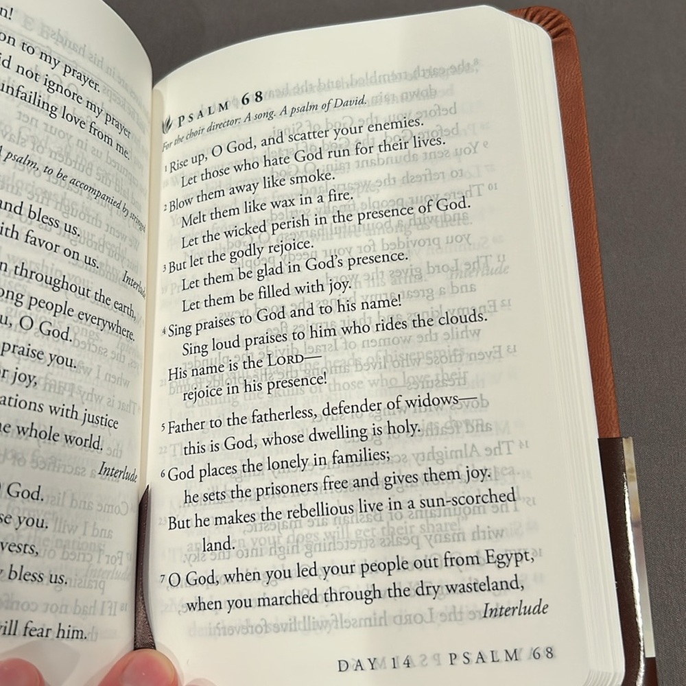 Words of Wisdom devotional book, journey through Psalms and Proverbs; Tyndale - Picture 3 of 8